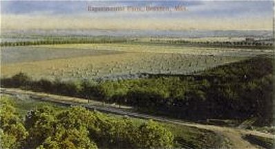 Experimental Farm 1913