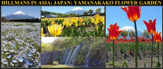 Yamanakako Flower Garden