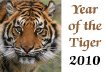 Chinese New Year Events and History - Year of the Tiger 2010