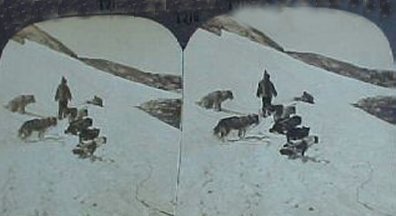 Eskimo dog team on the trail