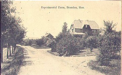 Experimental Farm