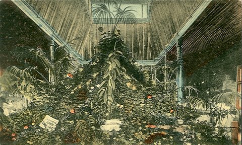 Horitculture Exhibit - Brandon Fair 1908