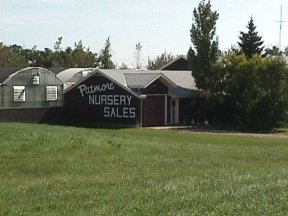 Patmore Nurseries