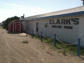 Clark's Poultry Farm