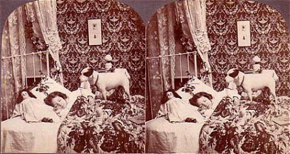 Christmas morning and you are not awake! ~ Jack Russell dog ~ Victorian doll